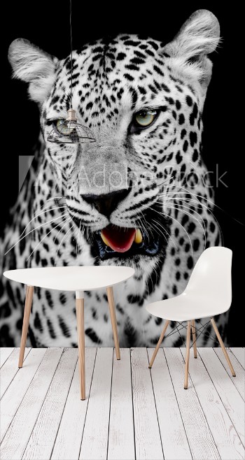 Picture of Leopard portrait